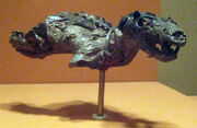 Thrinaxodon Lionhinus.jpg