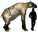 Ancylotherium