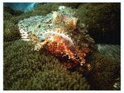 Dsc03059bxz7.jpg