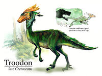 Troodon