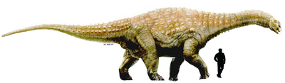 Diamantinasaurus