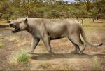 Megistotherium