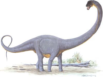 Supersaurus.jpg