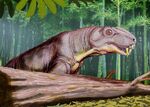 Aelurognathus