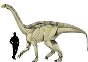 Euskelosaurus.jpg