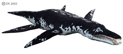 Liopleurodon2