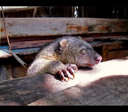 5230668224 65416db4ee z.jpg (274 kB)