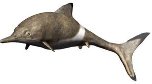 Nannopterygius.jpg