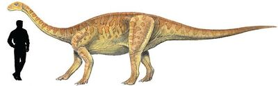Yunnanosaurus.jpg