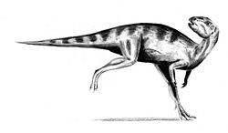 250px-Orodromeus.jpg