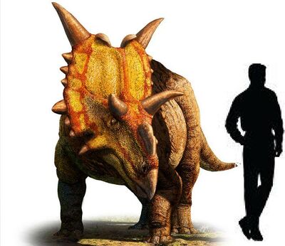 Xenoceratops