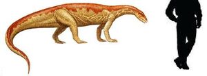 Anchisaurus