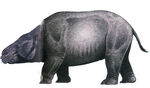 Toxodon.jpg