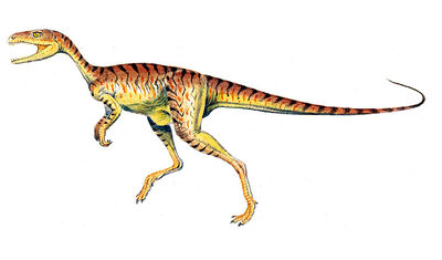 Chindesaurus.jpg