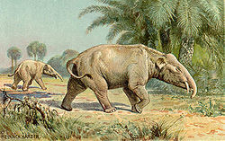250px-Paleomastodon.jpg