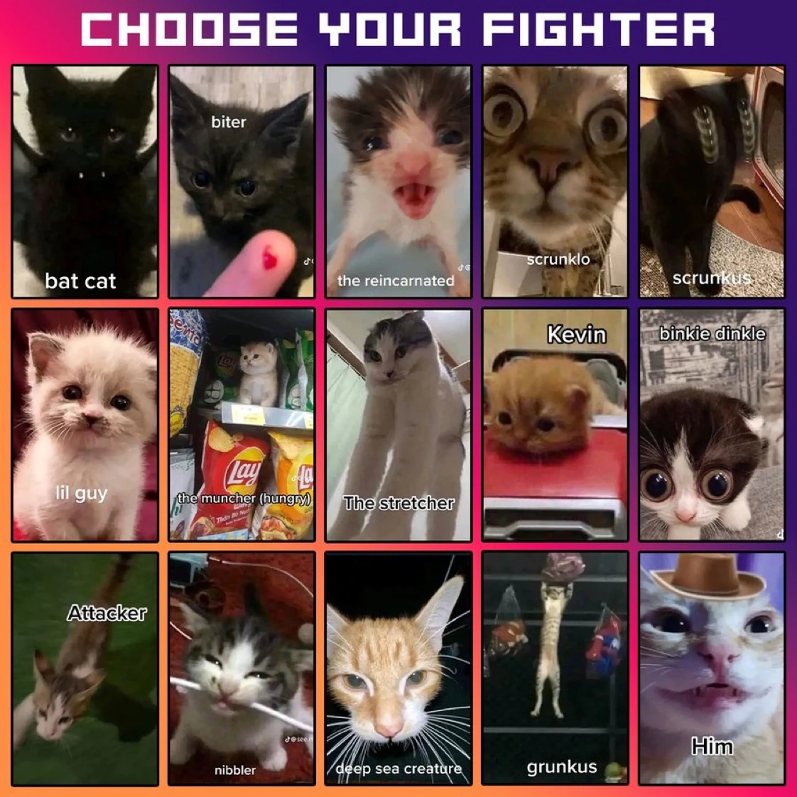 CHOOSE YOUR FIGHTER Fandom