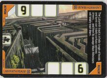 HW Labyrinth Realm.jpg