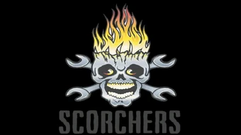 hot wheels world race teams