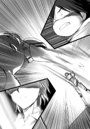 Page 265 illustration