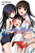 Accel World Light Novel Volume 10 - English Cover
