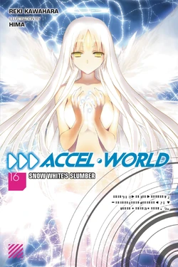 Accel World Light Novel Volume 16 | Accel World Wiki | Fandom