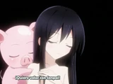 OVAs