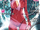 Accel World Light Novel Volume 14