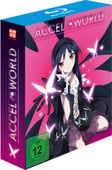 KA Accel-World BD-Vol