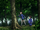 Chiyu and Haru confront Noumi.png