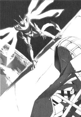 Silver Crow Disaster Volumen 5.jpg