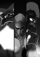Illustration in volume 17 (center)