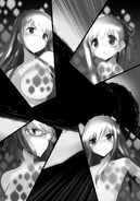 illustration 6