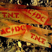 ACDC-TNT