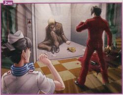 Turnabout Airlines - Image Gallery, Ace Attorney Wiki