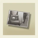 PhotographofHandbag TGAA