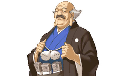 Mikagami Hikari - Ace Attorney Wiki - Neoseeker