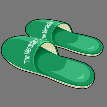 Slippers Ace Attorney Wiki Fandom