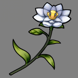 Nahmanda Flower
