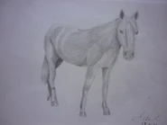 Si digo que es Epona, ¿colará?