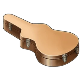 Guitar Case