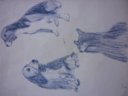 Son unos bocetos que hice