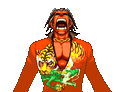 Tigre Breakdown 1.gif (7 KB) First part of Furio Tigre's breakdown.