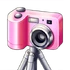 Pink Camera