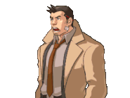AAI Young Dick Gumshoe Determined 2