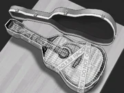 Гитара Гэвина в вакуумной упаковке, использованная для контрабанды кокона.