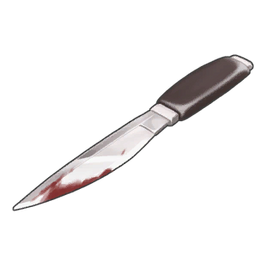 Fruit Knife
