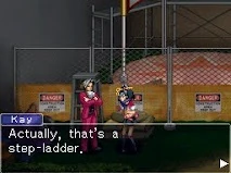 Ladder Vs Stepladder Ace Attorney Wiki Fandom