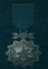 AC5 Bronze Ace Medal
