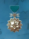 AC3D Medal 17 Bronze Ace