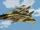 F-14B -Persian Cat-